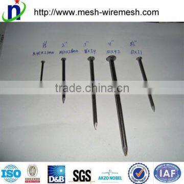 Best Quality 2" Common Nails,square Boat Nails photo-2