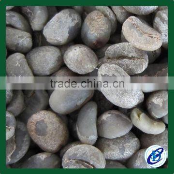 Arabica Green Coffee Beans for Wholesale photo-3