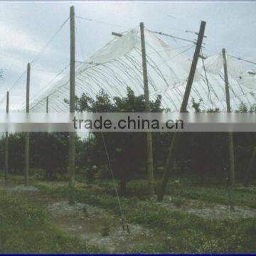 woven Polypropylene tarps covers and protects fruits which are vulnerable to heavy rain.