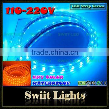 Factory Direct Sale High Lumen Waterproof 5050/2538 LED Strip 220v