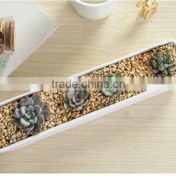 2016 Hot-sell Wholesale Price Artificial Tropical Mini Succulent Plant Pot Porcelain Flower Pot in Garden photo-4