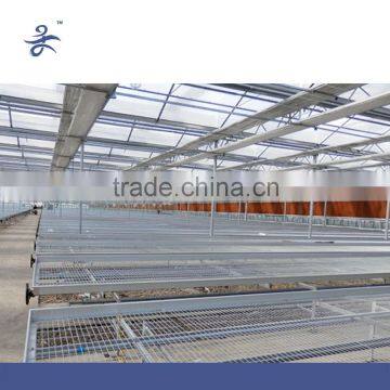 Agriculture Seed Bed for Vegetable Greenhouse