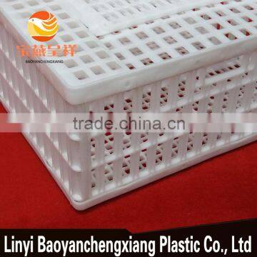 New Product Plastic Sales Small Chicken Coop Professional Designs photo-6