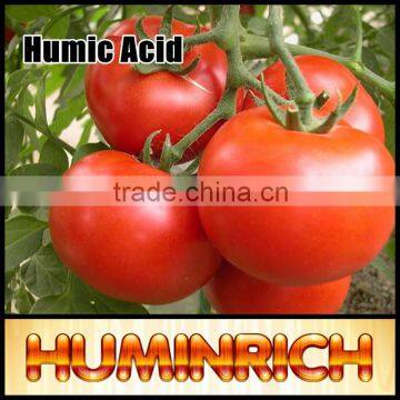 Huminrich Shenyang Brand Refined Leonardite Source Bio Organic Manure