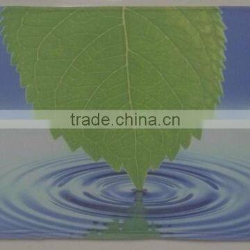 Animal Design Beautiful Soft Commercial Thick Mat photo-4