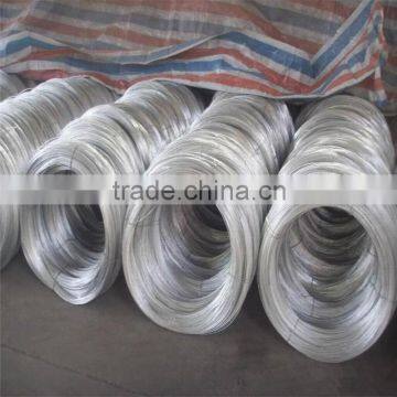 2016 cheap price bwg 17 electro galvanized wire made in China