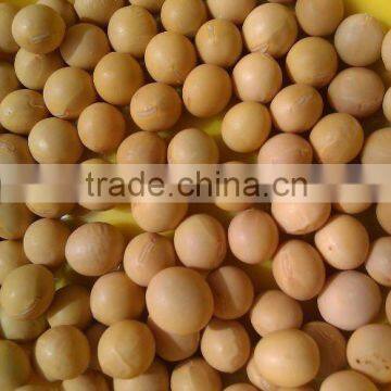 Organic Chinese Yellow Soybean( 2010 crop, Heilongjiang Origin)