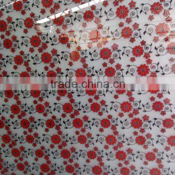 Frosted Design Glass for Windows and Door photo-1