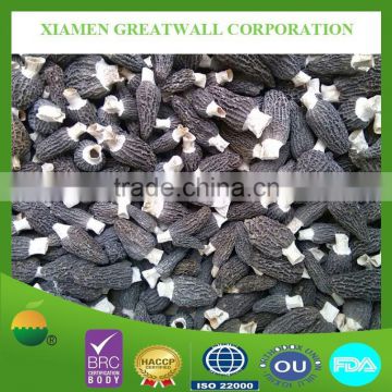 Good price of dried black morel mushroom in hot sale