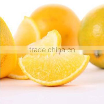 hot sale high quality mandarin orange pulp sacs