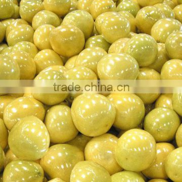 New crop fresh honey guangxi pomelo