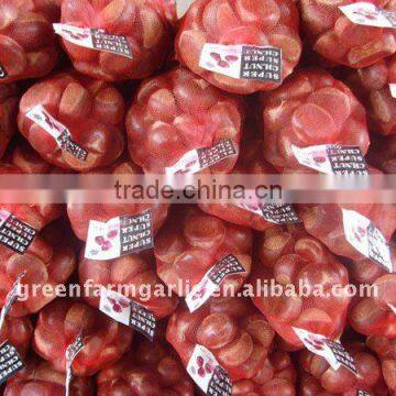 Supplying Chestnut 2011 Corps