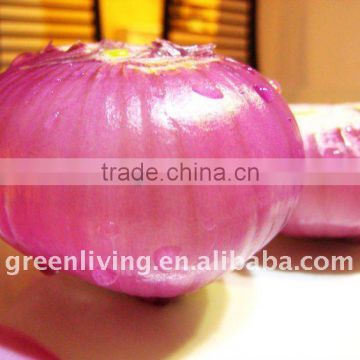 fresh flat onion from china have cheapest price