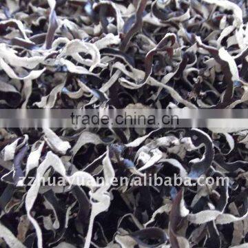 White at the Back of the Black Fungus