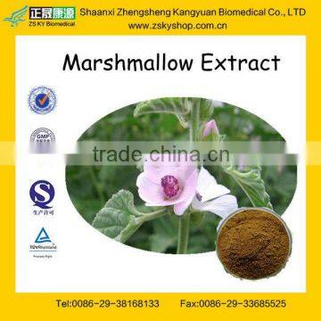 GMP Factory Supply Marshmallow Extract