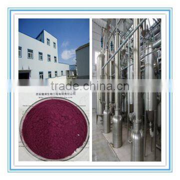 Brazilian Acai berry Powder Extract 5:1 10:1 20:1 and spray-dried acai berry fruit powder