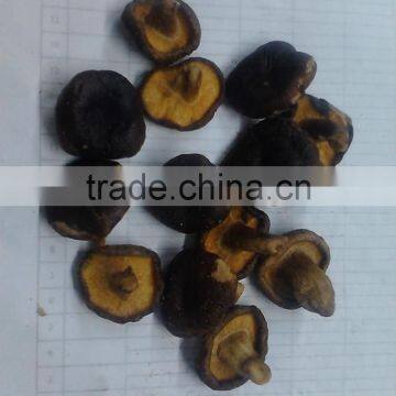 Vacuum Fried Shiitake Chips photo-2