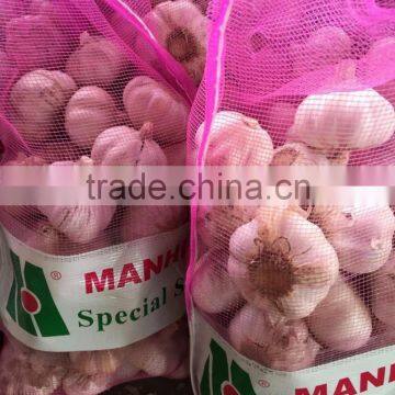 No Root/Clean Skin Wholesale Chinese Garlic photo-5