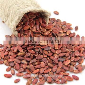 sell cheap natural style melon seeds with different size