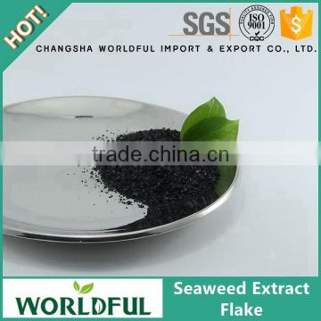 Deep irrigation water soluble organic seaweed extract flake fertilizer for flowers