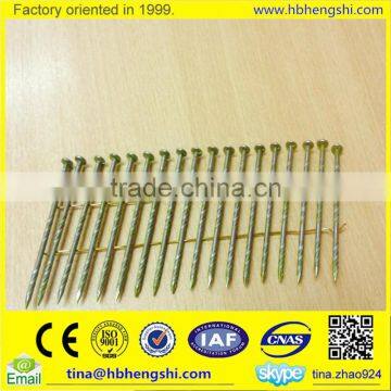 Made in china high quality coil nails(professional factory)