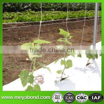 cucumber netting Climbing plant support trellis netting