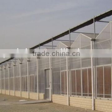 PC solid sheet roof greenhouse high quality