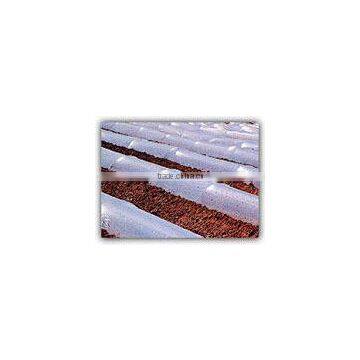 Agriculture Mulch Films ,perforated Clear Mulch Film (with 2 or 4 Holes) photo-5