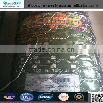 China Chicken Galvanized Hexagonal Wire Mesh With Low Price photo-2