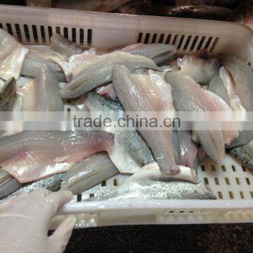 Frozen seabass fillets 5-7oz,7-9oz lateolabrax japinicus for Middle East Market