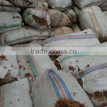 Eucheuma Spinosum photo-5