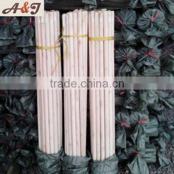 Two hands polished natural broom and dustpan set South-africa used thread