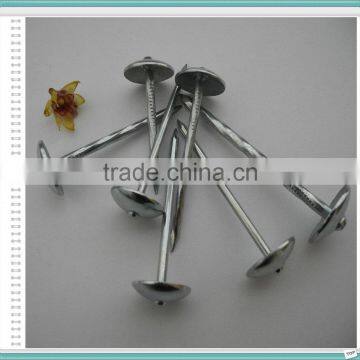 Ceiling Nails With Umbrella Head photo-3