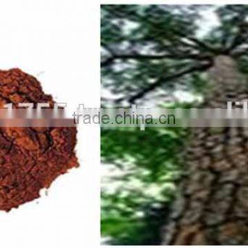 Pine Bark Extract photo-4