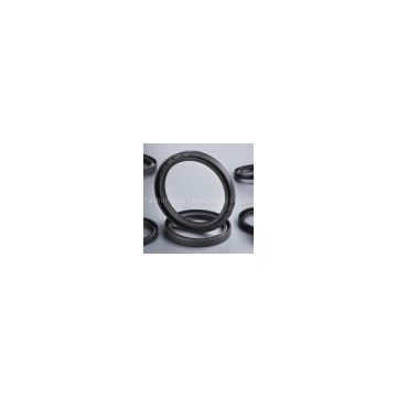 Customized NR Abrasion Resistance Framework Metric Oil Seal for Hydraulic Pneumatic Parts