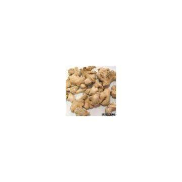 Sell Ginger