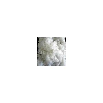 ISO 12D,15D hollow conjugated polyester staple fiber solid for stuffing and packing of toy