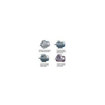 Series Single Three-Phase AC Induction Motors