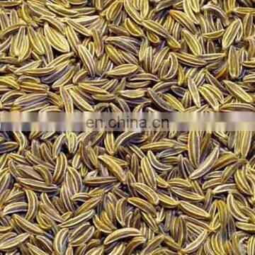 Cumin Seed Powder