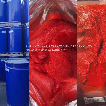 Drum Tomato Paste photo-5
