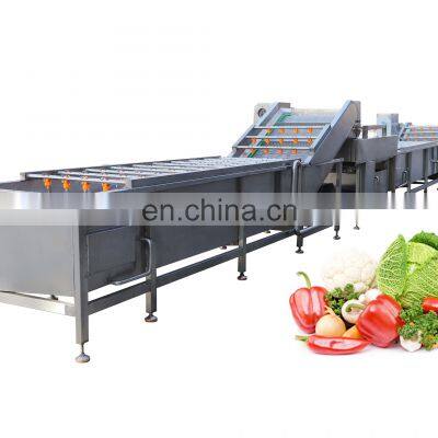 Hot Sale Industrial Fruit and Vegetable Washing Line Fresh Fruit Leaf Root Salad Vegetable Cleaning Machine photo-5