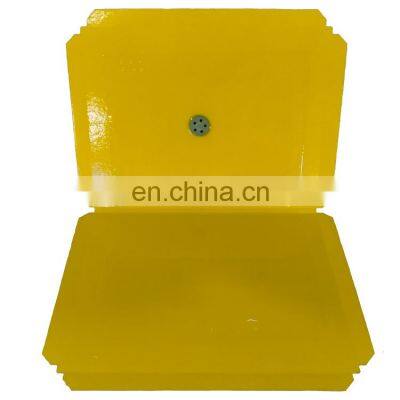 China Manufacturer Wholesale Peanut Scent Green 17*22 cm Mouse Glue Trap Fast Delivery