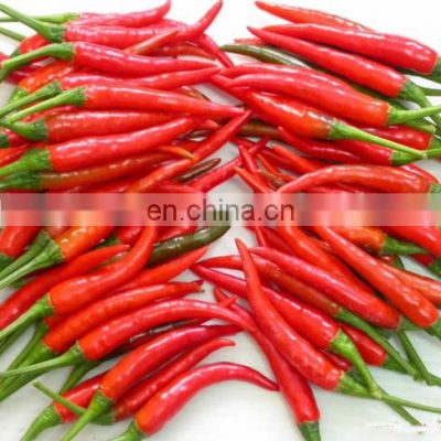 Fresh chili pepper from Vietnam