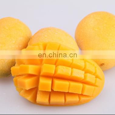 Mango puree processing production line