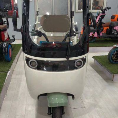 New Electric Tricycle Adults e Trike 3 Wheel Cargo Bike Passenger Motorcycle Adult Electric Tricycles With Roof photo-3