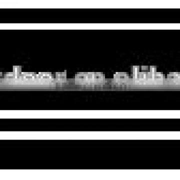 Pizza Stone for Kamad/oven BBQ Tools China Suppliers photo-4