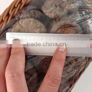 China Dried Smooth Shiitake Mushroom in Different Cap Size 3-8CM photo-2