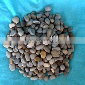 pebble stone