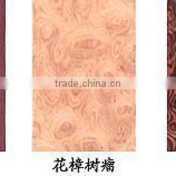 Poplar Core Veneer Plywood Cheap Keruing Plywood photo-2