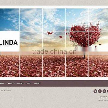 Corporate Photographers photo-5